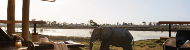  Okavango Delta Package 